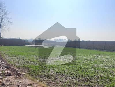 100 Marla land on ring road Peshawar