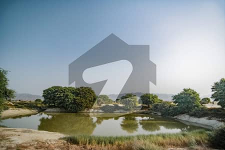 300 Acres Agricultural Land for Sale Link Road Front, Mouza Shatangi