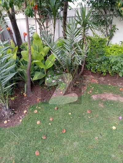 بنی گالہ اسلام آباد میں 3 کمروں کا 1 کنال زیریں پورشن 1.1 لاکھ میں کرایہ پر دستیاب ہے۔