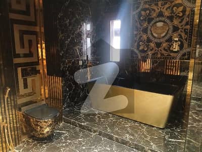 Extra Ordinary Fully Furnished Luxury Bungalow