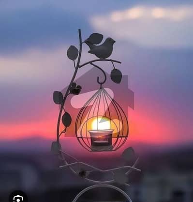 گلشن اقبال - بلاک 10-اے گلشنِ اقبال,گلشنِ اقبال ٹاؤن,کراچی میں 1 کنال رہائشی پلاٹ 8.0 کروڑ میں برائے فروخت۔