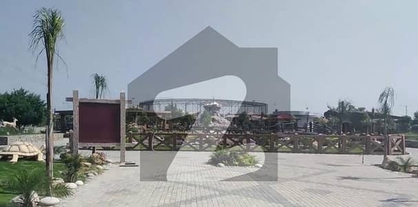 A Residential Plot Of 1 Kanal In Islamabad