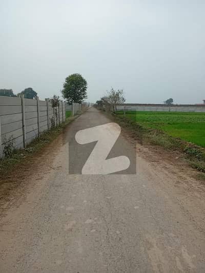 برکی روڈ کینٹ,لاہور میں 16 کنال زرعی زمین 2.5 کروڑ میں برائے فروخت۔