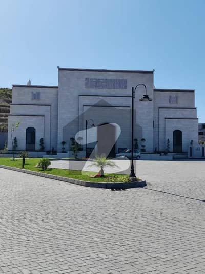 Possession Able Plot Reasonable Price  Best Opportunity For Investment & House Build Level & Solid Land