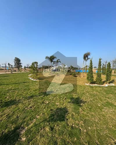 Lahore Organic Farms Society Located on Main Barki Road, Lahore.