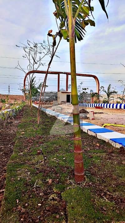 AG Sindh Plot For Sale On Investor Rates