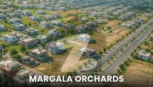 Near To Possession Fast Development Reasonable Price  Tranfer able Safe Investment