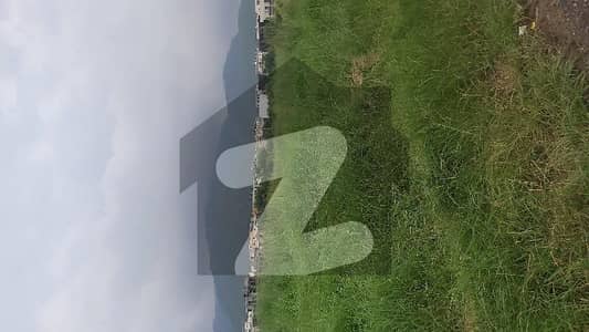 1 kanal Plot in D-12 on Investor Rate For Sale.