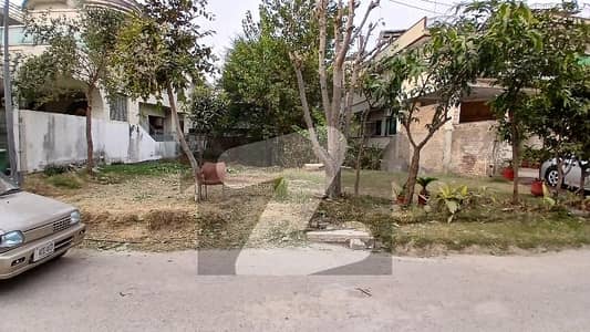 70 feat Street Idol location