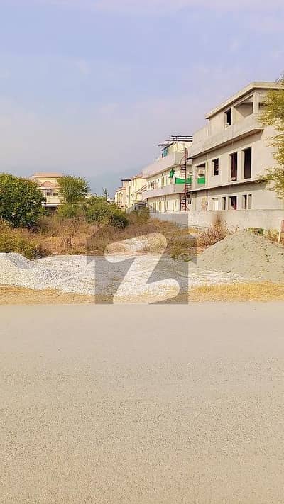 Double Road Plot For Sale In D-12/2