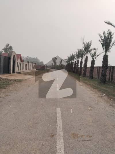 Beautiful Fram House Land For Sale In Bedain Road Lahore Cantt