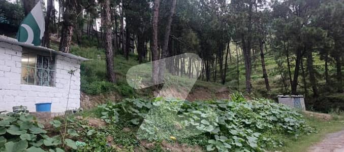 Commercial Plot For Sale