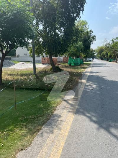 Prime 1 Kanal Road-Level Plot in DHA Phase 6 Surrounded by Modern Homes | Exceptional Investment