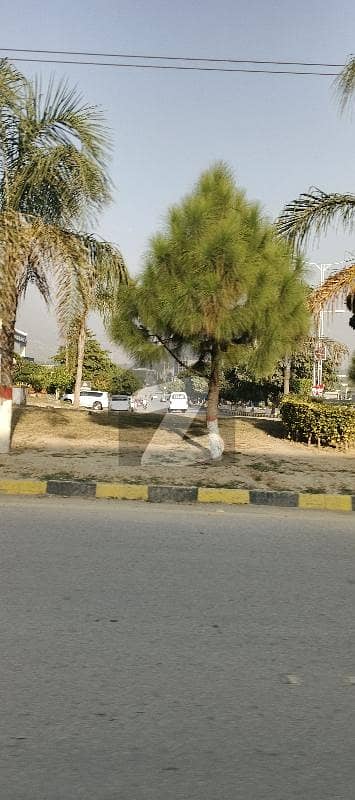 ایم پی سی ایچ ایس - بلاک سی 1 ایم پی سی ایچ ایس ۔ ملٹی گارڈنز,بی ۔ 17,اسلام آباد میں 9 مرلہ رہائشی پلاٹ 1.75 کروڑ میں برائے فروخت۔