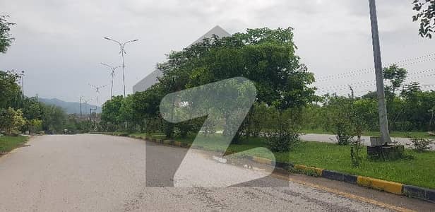 ڈی ۔ 12 اسلام آباد میں 11 مرلہ رہائشی پلاٹ 8.6 کروڑ میں برائے فروخت۔