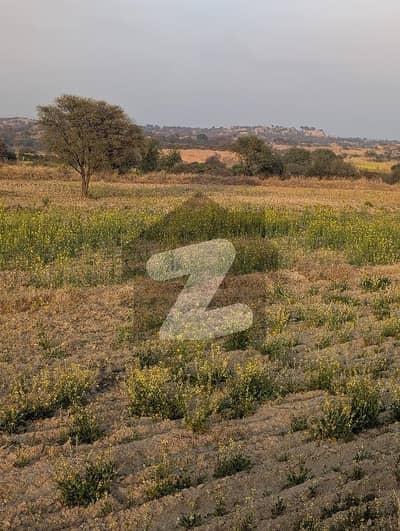 نیلہ دلہ انٹرچینج ایم-2 لاہور اسلام آباد موٹروے,چکوال میں 40 کنال زرعی زمین 2.0 کروڑ میں برائے فروخت۔