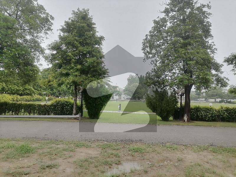 Buying A Residential Plot In Faisalabad Buying A Residential Plot In Faisalabad