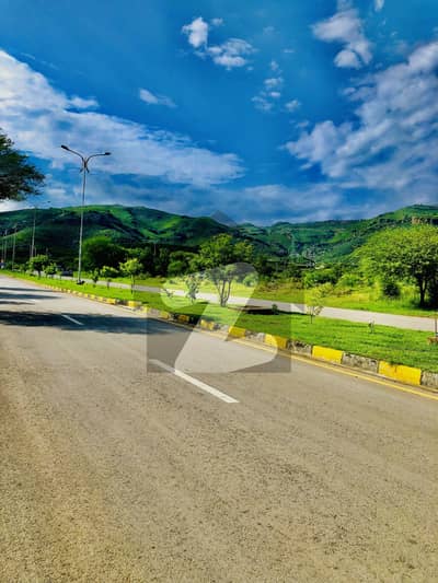 25x40 (4 MARLA) Plot Available For Sale In D-12.