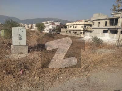 PLOT FOR SALL IN D 12/1 SIZE 25*50