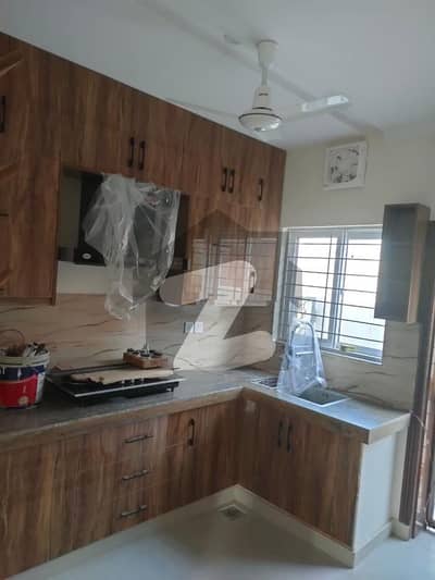 Brand New 5 Marla House for Rent Just Completed | Never Used