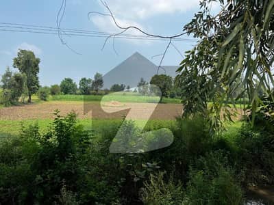 بیدیاں روڈ لاہور میں 54 کنال زرعی زمین 16.2 کروڑ میں برائے فروخت۔