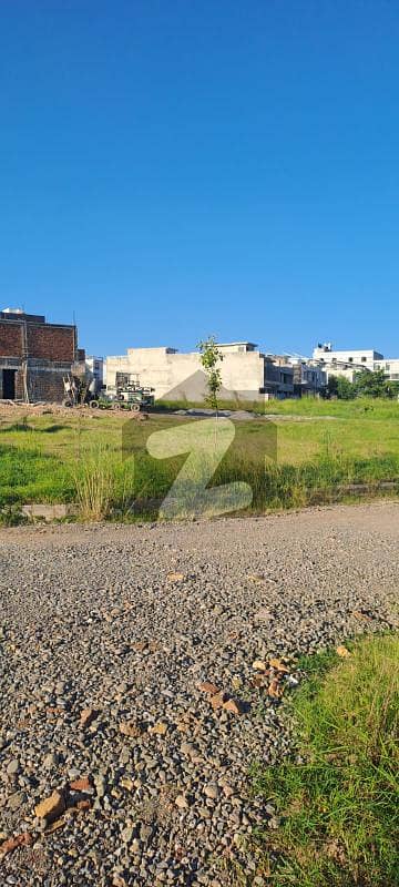 Best Opportunity For Investor &Amp; Builder 12 Marla Commercial Plot Business Square