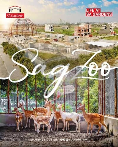 6.5 Marla level plot Available for Sale