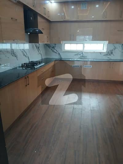 Wapda Town 10 Marla New House For Rent