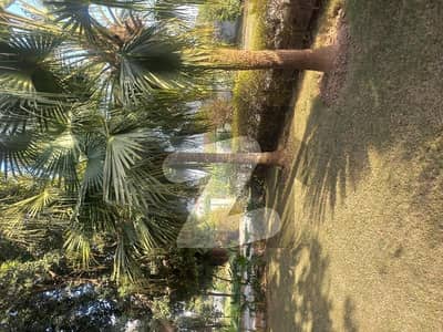 Farmhouse available for sale