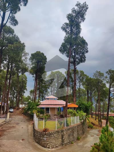 نیو مری مری میں 10 مرلہ رہائشی پلاٹ 40.0 لاکھ میں برائے فروخت۔