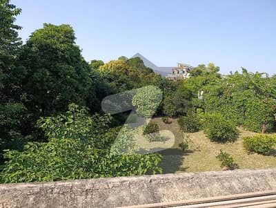 I 11/2 Plot Available 25*60 2nd To Corner Beautiful Location With Reasonable Price