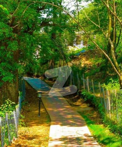 ایف ۔ 10/4 ایف ۔ 10,اسلام آباد میں 6 کمروں کا 2 کنال مکان 32.0 کروڑ میں برائے فروخت۔