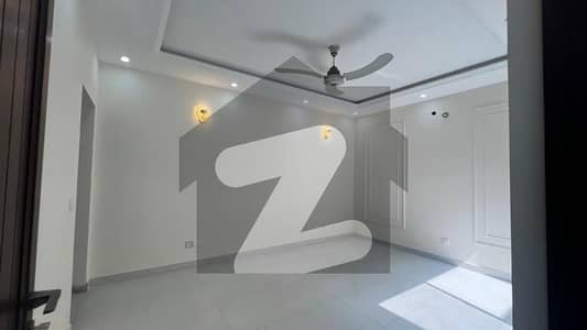 10 Marla Lower Portion In Dha Phase 1