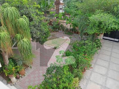 DHA 500 Yards Bungalow Rent