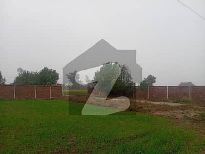 agriculture land for rent