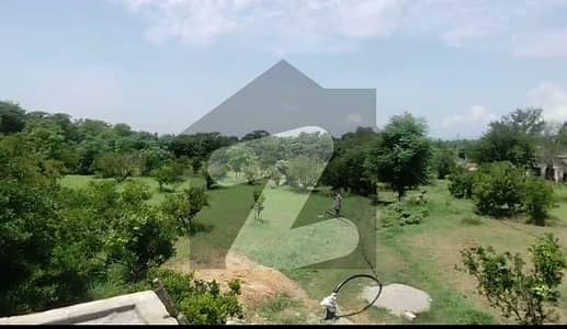 20 Kanal Orange Bagh Land For Sale