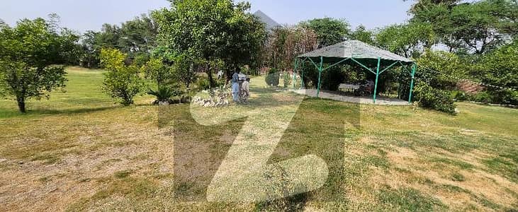 Future Phase 7 3-Acre Farm House Land, Bedian Road, Karbath Village Best Opportunity For Invest 1 To 1 Deal With Direct Owner