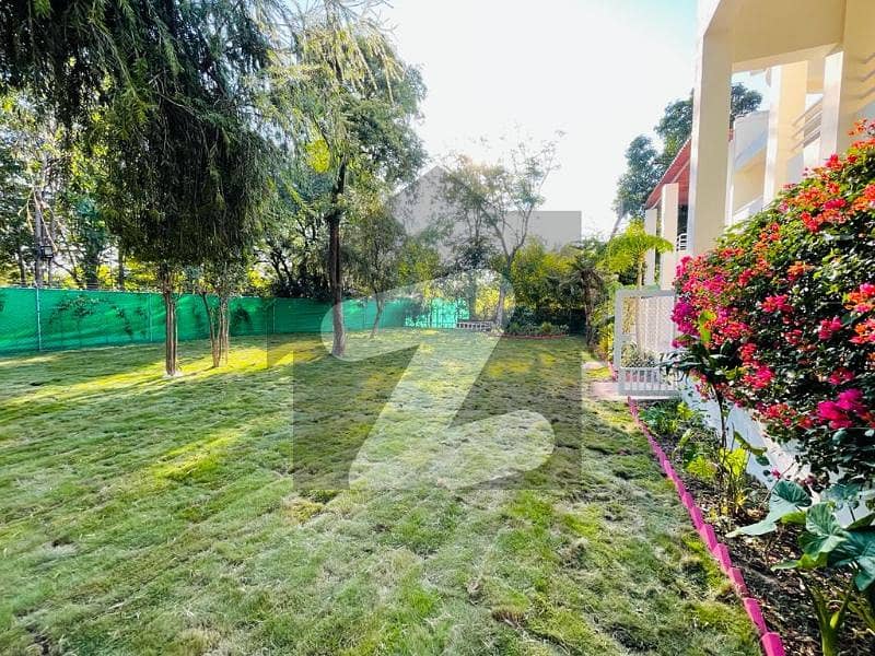 HOUSE FOR RENT IN F-7 HOUSE FOR RENT IN F-7