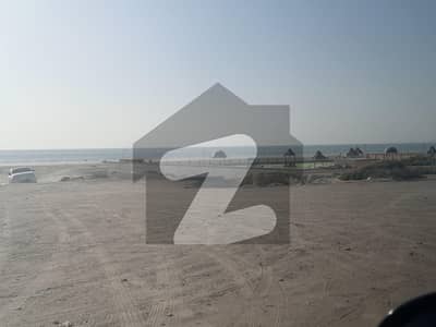 موضع چٹی جنوبی گوادر میں 40 کنال کمرشل پلاٹ 1.25 کروڑ میں برائے فروخت۔