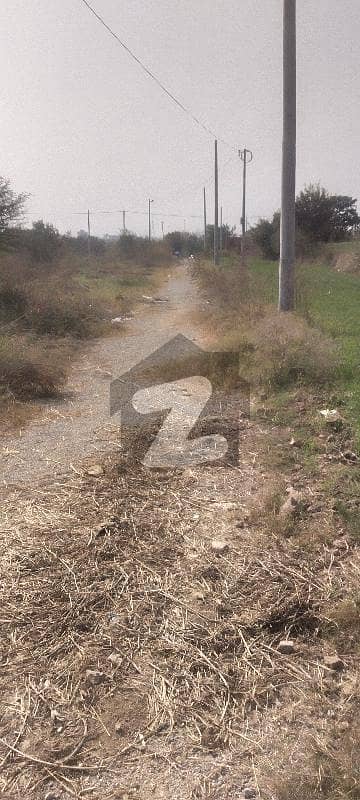 5marla In Affordable Price