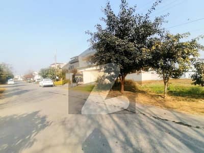 1 KANAL PLOT FOR SALE ON 50 FEET ROAD