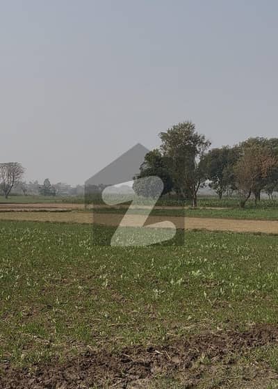 8 Kanal Agricultural Land Available For Sale For Further Details Contact Us