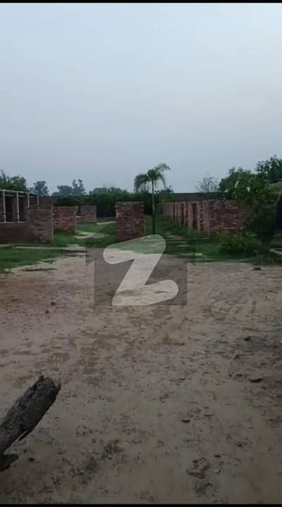 جاتی عمرہ روڈ لاہور میں 3 کمروں کا 6 کنال علاوہ 1.0 لاکھ میں کرایہ پر دستیاب ہے۔