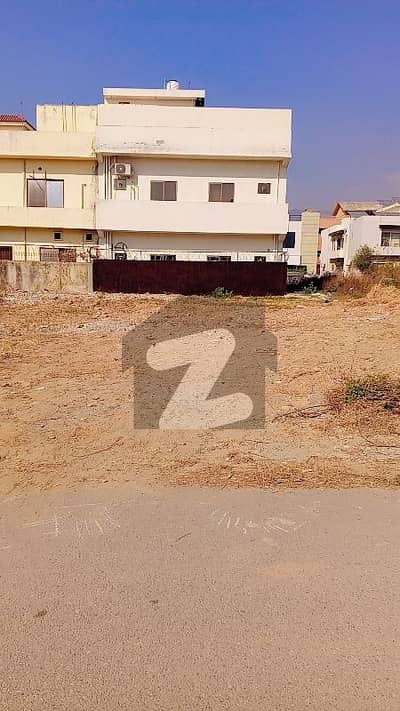 Plot For Sale in D-12/4