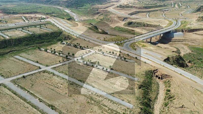 Rose 8 Marla Open Transfer Rose 8 Marla Open Transfer