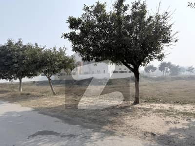 8 Marla Plot No. 243 Block Y, DHA Phase 8