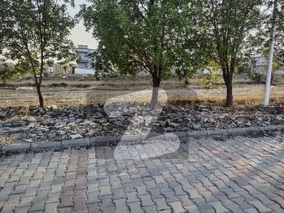 Dha Phase 5 Zone H6 , Commerical Plot No 41 and 42 Total Size 8 Marla