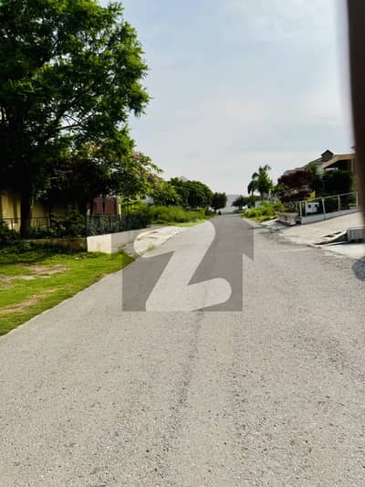 50x90 (1 KANAL) Investor Rate Plot Available For Sale In D-12.