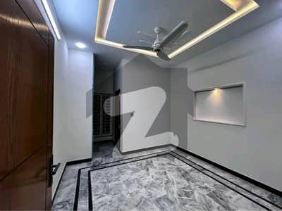 Brand New Ground Floor + Basement Portion Available for Rent