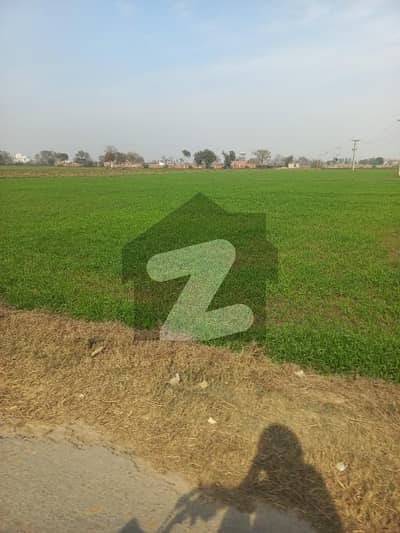 440 Kanal Land (75 Lack Per Kanal) Near To Sharif Medical & Raiwind Road Available For Sale